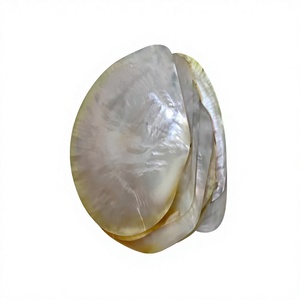 Premium <b>Silver</b> Plated <b>Mirror</b> Mother Pearl Shell <b>Tray</b> Handmade Modern Luxury Natural Seashell Dish for Jewelry Display Home Decor - Product Image 1