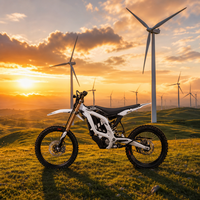 SUR-RON Light Bee 2 X NA Nouvelle moto électrique tout-terrain ultra-légère 24 kW prête à être expédiée Livraison rapide Dropshipping CE