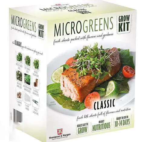 Bestseller Produkte Garten Indoor Pflanzer Gemüse Hydro ponik Anbaus ystem Mikro grün Samen Bio Grow Kit