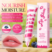 Huile à lèvres bicolore personnalisable avec logo, gloss à lèvres Myrtille, Figue, Fraise, Orange, nourrissant pour lèvres gercées et sèches, brillance intense
