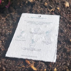 다채로운 토템 생분해 성 종자 종이 카드 Flexographic 인쇄 식물 엽서 친환경 DIY 문구 이벤트/웨딩 - Product Image 5