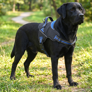 Nouveau <span class=keywords><strong>Harnais</strong></span> pour <span class=keywords><strong>Chien</strong></span> Anti-Traction Happy Custom Réfléchissant et Réglable en Tissu Oxford Robuste avec Poignée de Contrôle Facile - Product Image 5