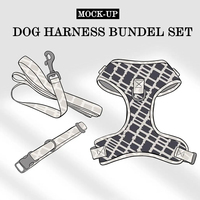 Harnais pour chien personnalisé respirant et réglable avec collier et laisse, marque privée Sunraymascota Pet Supplies