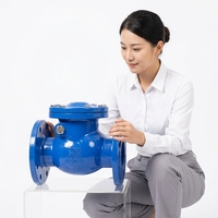Vanne anti-retour standard allemande pour la sortie des pompes et les conduites de transfert d'eau, vanne de retenue horizontale à brides pour la protection