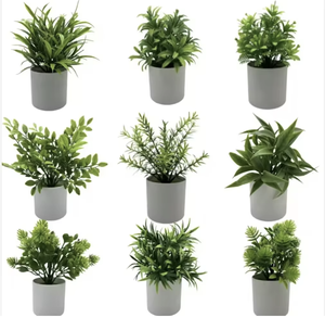 Nouveauté très demandée : Arbustes artificiels d'eucalyptus et de romarin simulés, <span class=keywords><strong>en</strong></span> pots cylindriques <span class=keywords><strong>en</strong></span> pulpe, écologiques, pour l'exportation - Product Image 2