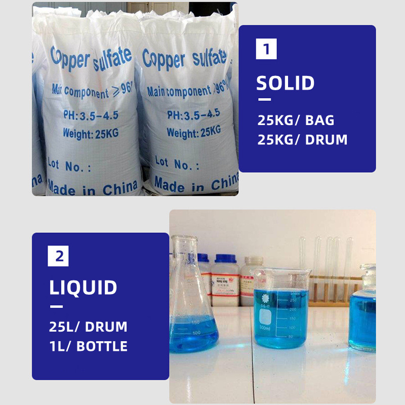 LC1201H Pool Chemical Liquid Algaecide - Shandong Orange Joy Co., Ltd. - Water Treatment Chemicals