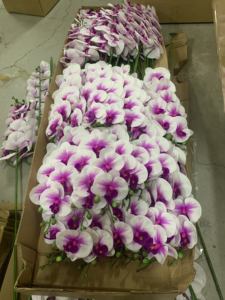 Orchidées artificielles en latex <span class=keywords><strong>de</strong></span> haute qualité, aspect réaliste, orchidées blanches, 9 têtes, tige unique, pour la décoration <span class=keywords><strong>de</strong></span> la maison, des mariages et des événements - Product Image 6