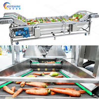 Industriële reinigingsmachine voor de verwerking van fruit en groenten, capaciteit 100-1000 kg voor groente- en fruitkiemen