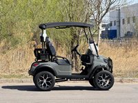 Voiturettes de golf électriques tout-terrain 2 places Buggy à vendre Voitures de club chinoises avec voiturette de golf pliée