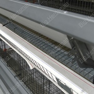 Cage à poules à plusieurs niveaux avec moins de 1 % de perte et mangeoire à alimentation sécurisée <span class=keywords><strong>pour</strong></span> les fermes avicoles commerciales - Product Image 5