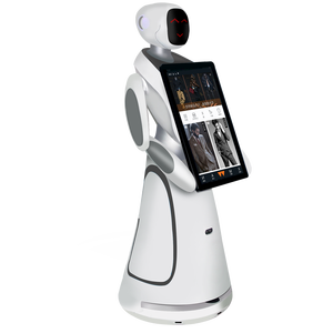 professional telepresence robot with a humanoid