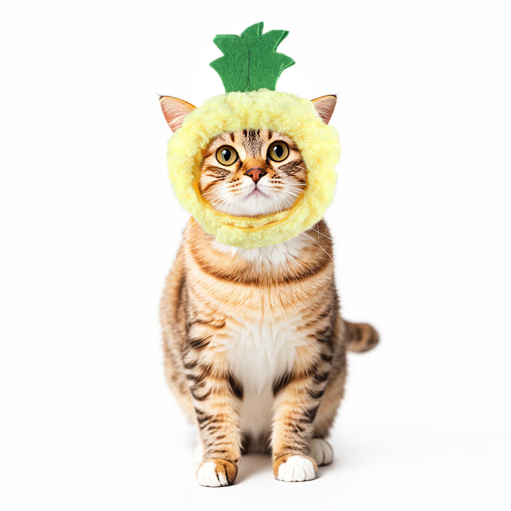 Sombrero de piña b05304