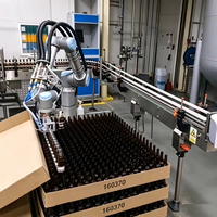 Robot dépalettiseur automatique pour bouteilles de bière, boissons, verres et canettes – Machine de dépalettisation pour ligne de production d'eau