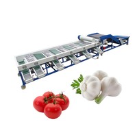 Goede prijs automatische knoflook sorteermachine, industriële knoflook sorteermachine en sorteerapparatuur