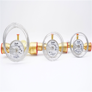 TGEX ตัวควบคุมการขยายตัวด้วยความร้อน - รุ่น R22 - 067N2163 - Product Image 5