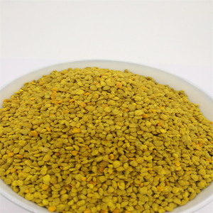 Polline d'Api di Grano Saraceno Nuova Stagione di Alta Qualità per Apicoltura e Consumo Umano - Product Image 3