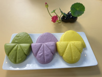 IQF snack chinois légumes congelés rouleau de printemps