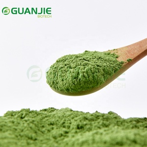 Polvo de hierba de trigo verde natural, polvo de jugo de hierba de trigo puro, suministro a granel - Product Image 2