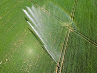 Arroseur à canon métallique réglable à 360° avec composants en acier inoxydable, portée de 80 m pour l'irrigation des terres agricoles
