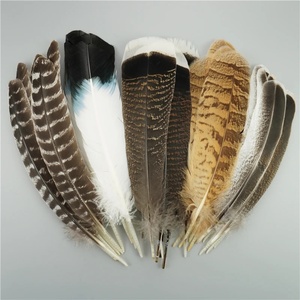 Lote de 10 Plumas de Águila Naturales para Manualidades, Accesorios para Tocados, Decoración Festiva, Plumas de Carnaval, Decoración DIY - Product Image 1