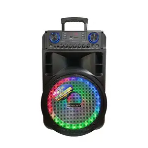 Altoparlante di vendita caldo con microfono batteria al litio portatile sistema Karaoke esterno altoparlanti Trolley Mini Z120 Stereo