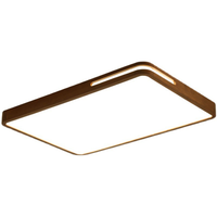 Plafonnier LED intelligent de haute qualité en fer carré et acrylique avec interrupteur de commande de couleur changeante pour salon
