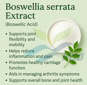 Suministro directo de fábrica HGO de extracto natural puro de Boswellia serrata (grado alimenticio) Ácido boswellic 45%-95% (extracto estandarizado) - Product Image 5