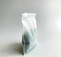 Sacs de rangement givrés refermables en gros avec fermeture éclair pour perles, pour les packs de recharge DIY et l'emballage de tri de produits finis