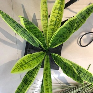 Planta Artificial de Serpiente Verde de 30cm-100cm, Ramo Decorativo para Interiores y Exteriores - Product Image 1