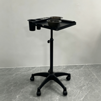 Chariot de service professionnel pour salon de coiffure avec compartiments pour outils et bols de mélange, chariot mobile pour la coiffure