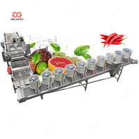 Transportband Ozon Automatische Chilli Wassen Reinigingsmachine Groente-en Wasmachine