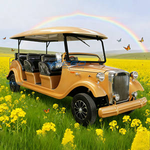 Bus touristique électrique classique vintage 6/8/11 places, voiture de tourisme électrique classique - Product Image 1