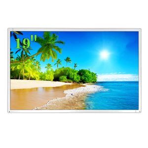 Monitor LCD Nuevo y Original de 19 Pulgadas, Alta Definición 1280*1024, 75Hz, 250 cd/m² - Product Image 1