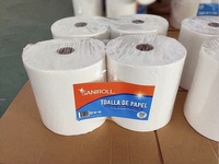 Rouleau de papier essuie-tout de haute qualité, 2 plis, fournisseur commercial
