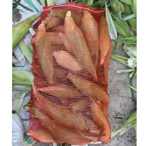 5kg 15kg 25kg 50kg 100% PP Raw Material Onion Potato Tomato Vegetable Fruit Seafood Tubular Leno Mesh Bag