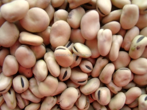 Bán buôn khô số lượng lớn rộng faba đậu trong túi bao bì <span class=keywords><strong>fava</strong></span> đậu - Product Image 3