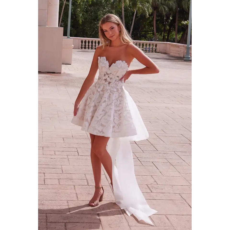 Elegant Designs for Your Perfect Day: Quality long back short front wedding dress for Business Buyers Elegant Designs for Your Perfect Day: Quality long back short front wedding dress for Business Buyers