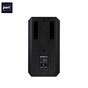 Pat KP4012 Enceinte passive professionnelle 12 pouces à large bande, néodyme 450W, en bois, pour karaoké/chant et DJ - Product Image 4