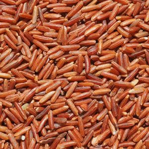 Red Rice Grains in Green <b>Measuring</b> <b>Cup</b> Bulk Grain Container From Orissa <b>for</b> Cooking and <b>Baking</b> - Product Image 1