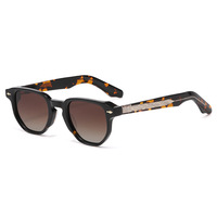 Nouvelles Lunettes de Soleil Unisexe 2027 Tendance Monture Complète en Acétate Haut de Gamme Polarisées Anti-UV pour la Pêche