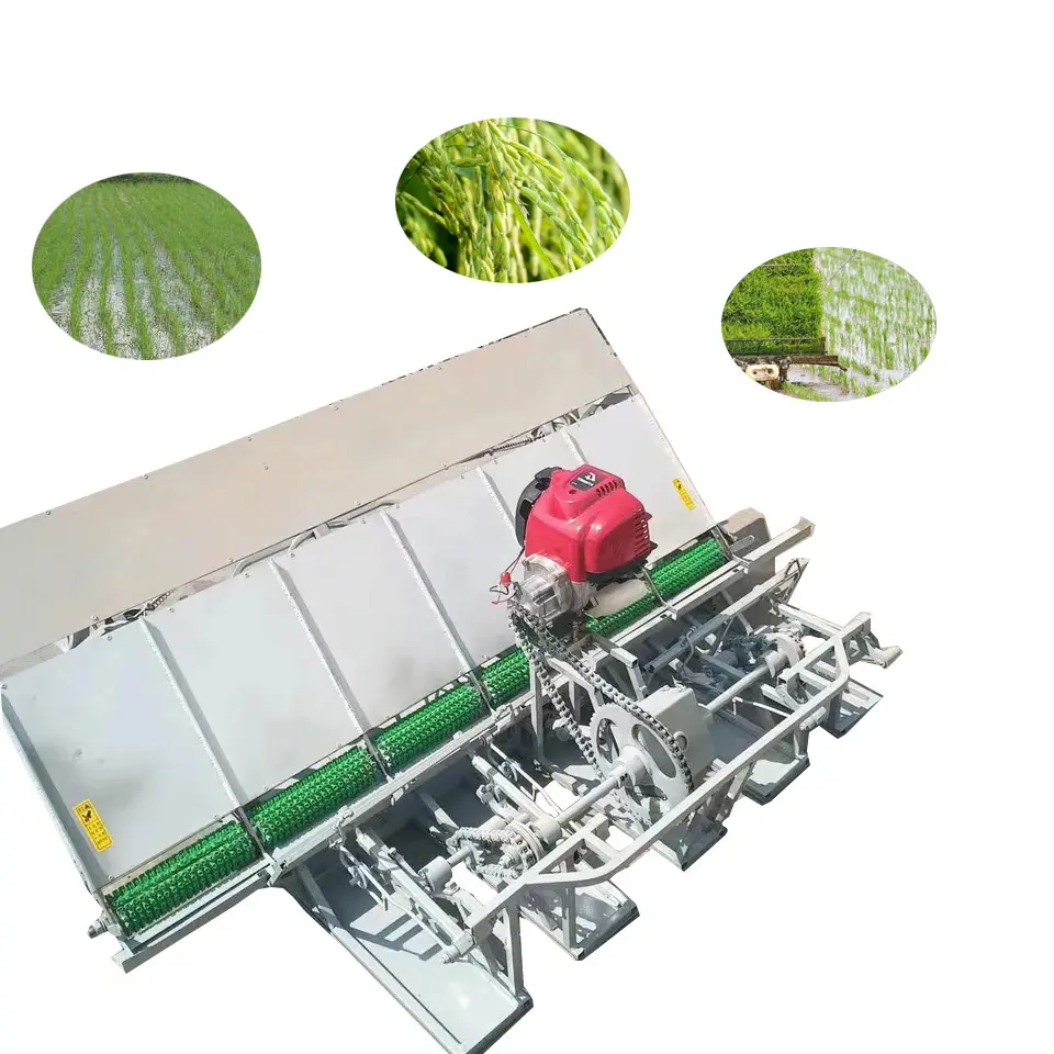 Máquina de Trasplante de arroz con cáscara de uso agrícola para 6 filas/4 filas trasplantadora de arroz/máquina plantadora de arroz