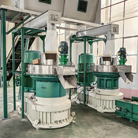 Offre spéciale ligne de granulés de bois personnalisée sciure de bois biomasse granulés briquette prix de la machine