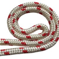Cordage en polyester tressé double haute résistance PET pour l'amarrage de navires, le remorquage, la pêche, les yachts et les applications offshore