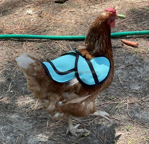 Custom Hen Saddle Vest Jacket Chicken Saddle with Larger Wing Cover Adjustable Chicken <b>Feather</b> Protector for Medium Large Hens - Product Image 6