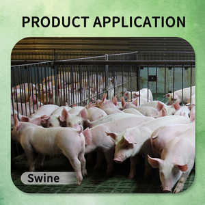 FARMJEWEL Complément Alimentaire pour Porcs en Croissance : Améliore la Qualité de la Viande et Réduit les Maladies, Enrichi en Oligo-éléments - Product Image 5