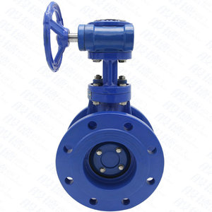 2In-80In Double Eccentric Flange Manual - Product Image 2