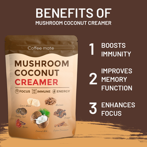 OEM Private Label Avantages pour la santé Crinière <span class=keywords><strong>de</strong></span> <span class=keywords><strong>lion</strong></span> Queue <span class=keywords><strong>de</strong></span> dinde Reishi Maitake Chaga Champignon Crémier à la <span class=keywords><strong>noix</strong></span> <span class=keywords><strong>de</strong></span> <span class=keywords><strong>coco</strong></span> - Product Image 2