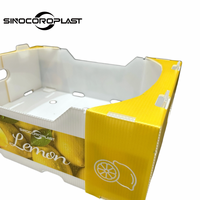 Emballage en plastique PP Corflute Boîte d'emballage de stockage en polypropylène ondulé en plastique citron fruits et légumes
