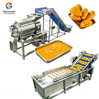 Fruitwas- en sapextractielijn 2-5T/H Mango Appel Ananas Sinaasappel Belletjesreinigings- en pulpmachine voor industrieel gebruik