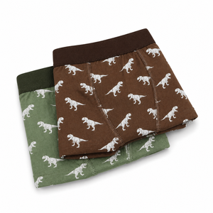 LUJIA Lot de 2 boxers pour garçons en coton naturel extensible à 95 %, imprimé dinosaures, pour les aventures en plein air - Product Image 3